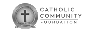 ccfsd3